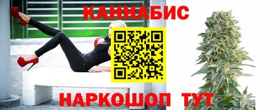 спиды Новодвинск